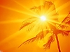 sonnenschein_palme.jpg