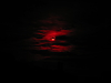 IMG_5742.JPG