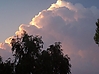 100_1296.jpg