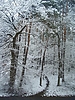 100_3048.JPG