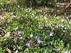 100_3057.JPG
