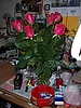 100_4385.JPG