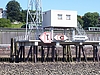 Filename=100_4931.JPG
Filesize=256KiB
Dimensions=922x692
Date added=Jul 18, 2009 100_4931.JPG