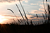Sonnenuntergang.jpg