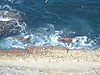 Filename=Wellenbruch.JPG
Filesize=465KiB
Dimensions=1280x960
Date added=Aug 07, 2006 Wellenbruch.JPG
