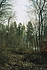 020_17.JPG