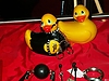 PICT2031.JPG