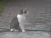 PICT0025.JPG