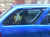 Auto_Voy_Com_rechts.JPG