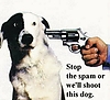 505stopspamen4.jpg