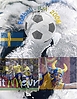 EM_SCHWEDEN.jpg