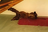 img004.jpg