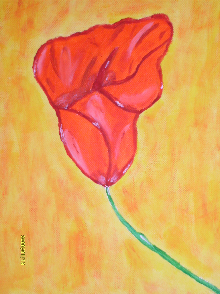 Bild; Quelle: http://bilder.stvc.de/albums/userpics/10121/S7300091.JPG Bild; Quelle: http://bilder.stvc.de/albums/userpics/10121/S7300091.JPG